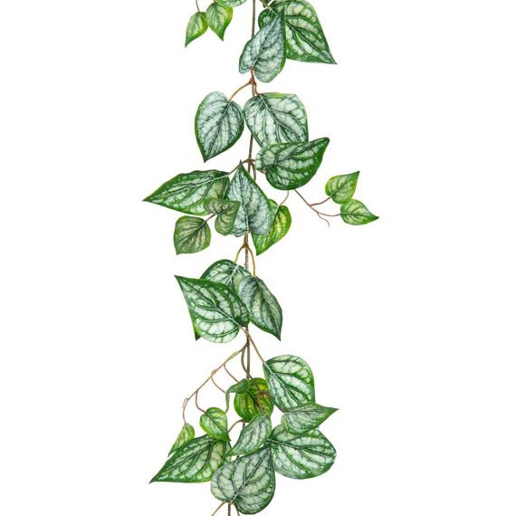 Botanic-Haus 107168-801 Künstliche Pflanze Drinnen Künstliche nicht blühende Pflanze, 2 image