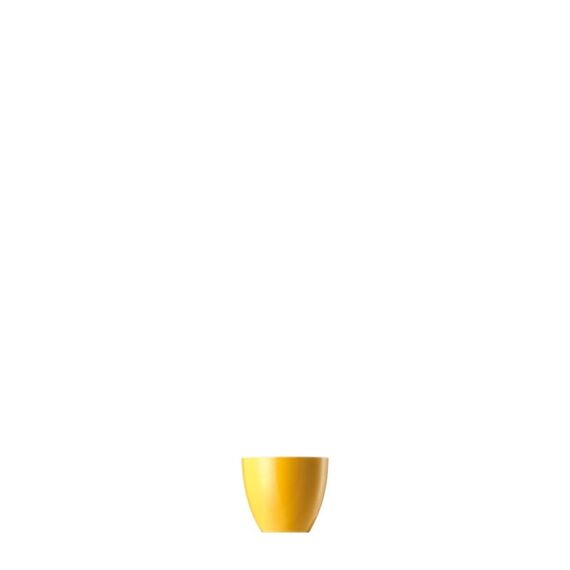 Thomas 10850-408502-15520 Tasse