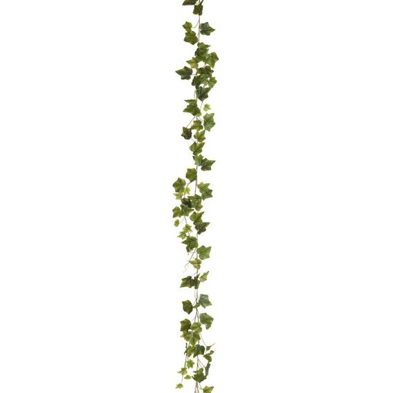 Botanic-Haus 108882-800 Künstliche Pflanze Drinnen Künstliche nicht blühende Pflanze