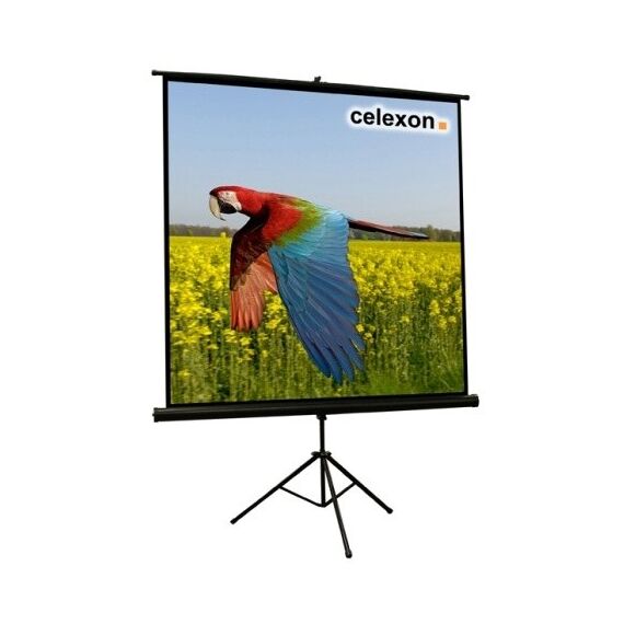 Celexon 1090014 Projektionsleinwand 1:1