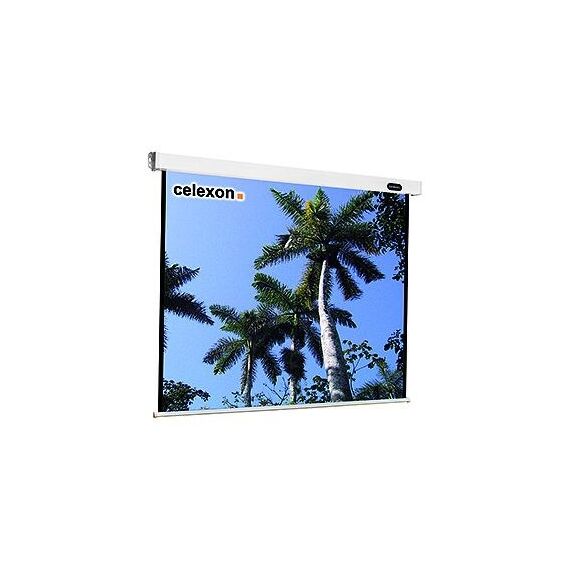 Celexon Mobil Expert 406 x 305cm Projektionsleinwand 4:3