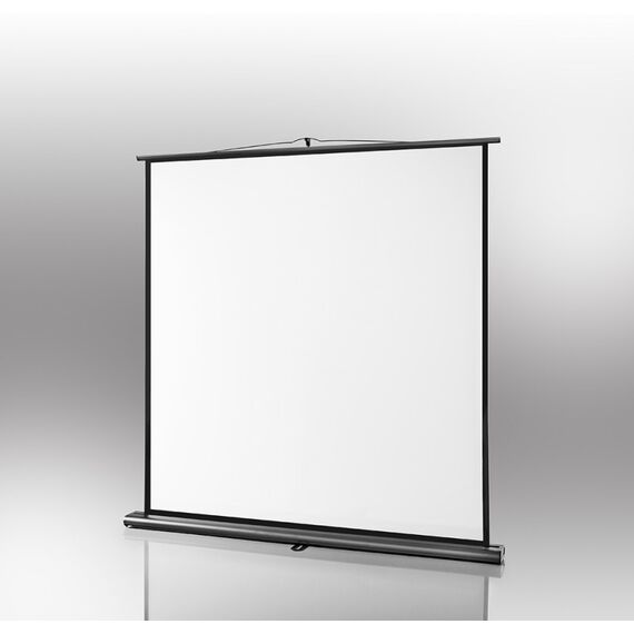 Celexon 1091780 Projektionsleinwand 1:1