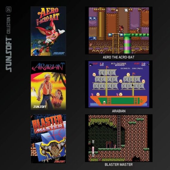 Blaze Evercade Sunsoft Collection 1 Deutsch, 3 image