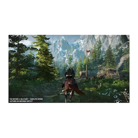 BANDAI NAMCO Entertainment The Witcher 3: Wild Hunt Vollständig Niederländisch, Englisch, Spanisch, Französisch, Portugiesisch, Russisch Nintendo Switch