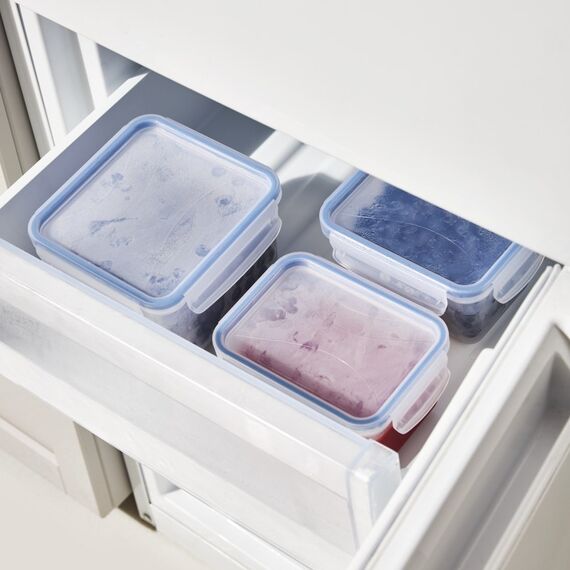 Rotho 1162506161WS Quadratisch Box 0,8 l Blau, Transparent 1 Stück(e), 3 image