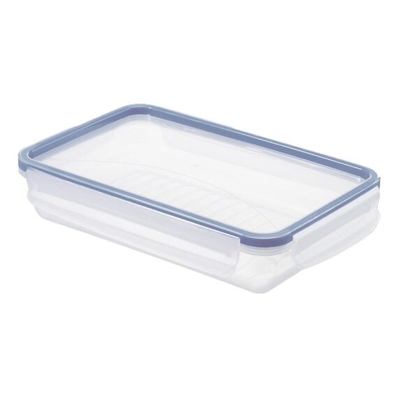 Rotho 1162706161WS Rechteckig Box 1 l Blau, Transparent 1 Stück(e)