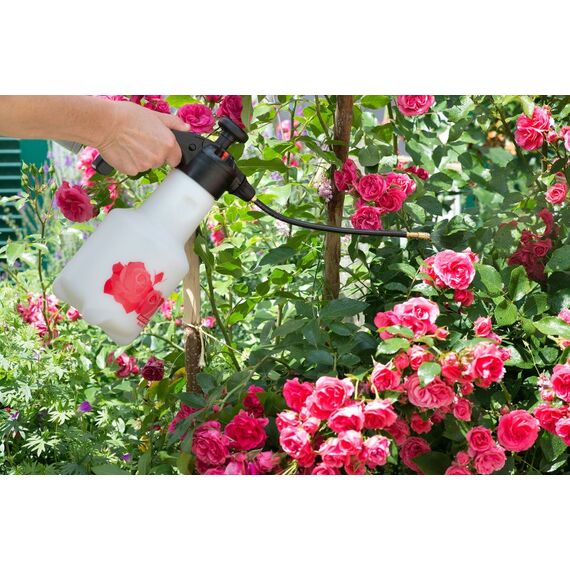 Birchmeier Rose Star 1.25 Handgartenspritzer 1,25 l, 3 image