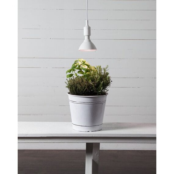 Star Trading 12.357-36 LED-Lampe Rot 16 W E27, 2 image