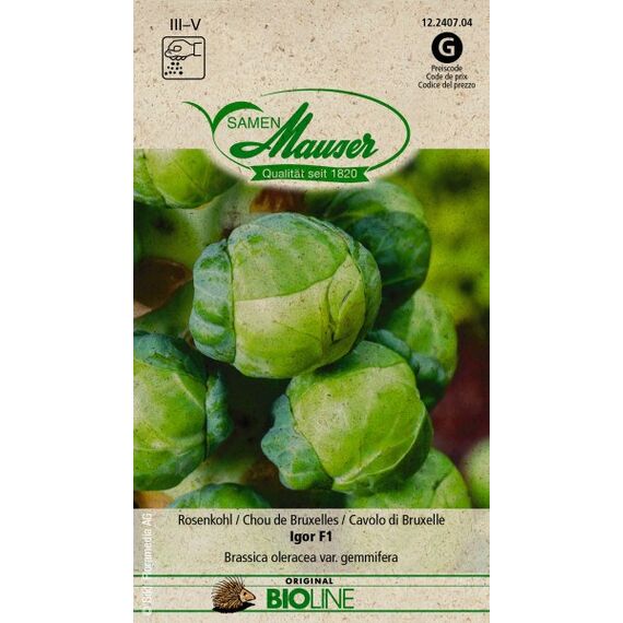 Samen Mauser BIO Rosenkohl Igor F1
