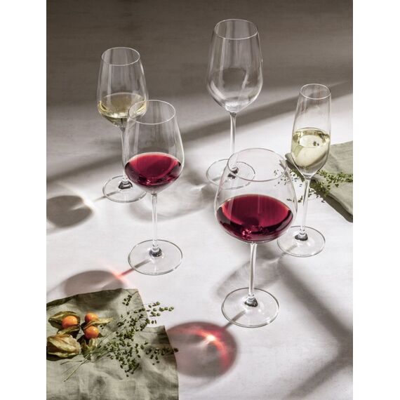 SCHOTT ZWIESEL Fortissimo 404 ml Weißwein-Glas, 4 image