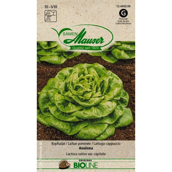 Samen Mauser Kopfsalat Analena