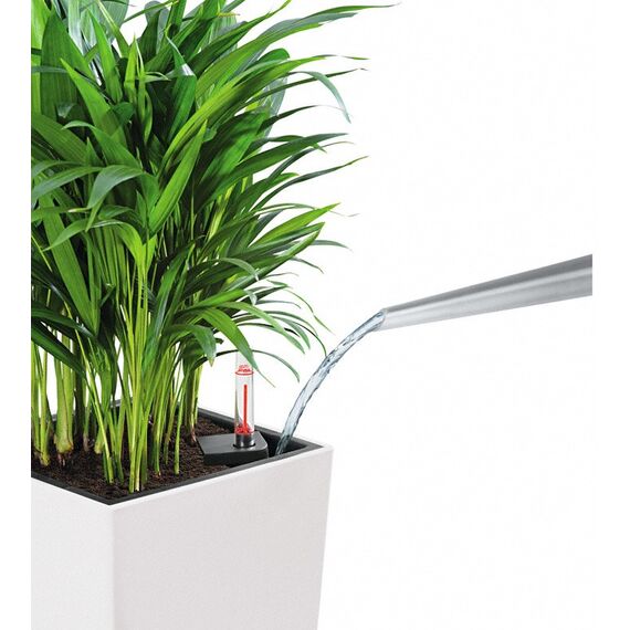 LECHUZA CUBICO Color 30 All-in-One Set Drinnen/Draußen Topfpflanzer Freistehend Polypropylen (PP) Graphit, Farbe: Graphit, 10 image