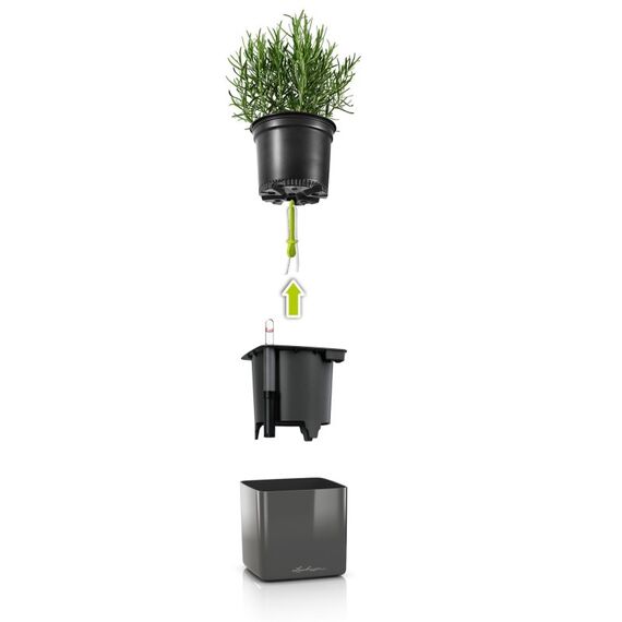 LECHUZA Green Wall Home Kit Glossy Drinnen Topfpflanzer Wand-montiert Polypropylen (PP) Weiß, 2 image