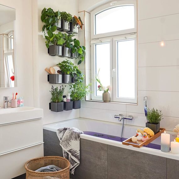 LECHUZA Green Wall Home Kit Glossy Drinnen Topfpflanzer Wand-montiert Polypropylen (PP) Weiß, 3 image