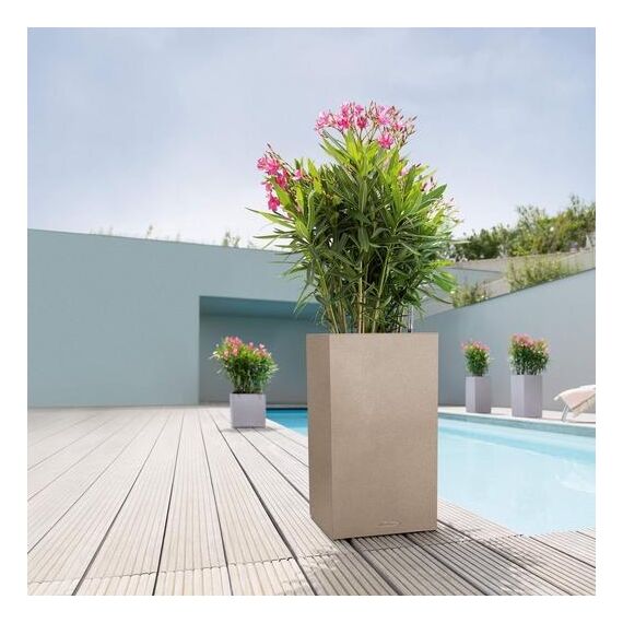 LECHUZA 13607 Blumenkübel Drinnen/Draußen Pflanzgefäß Freistehend Kunststoff Grau, 4 image