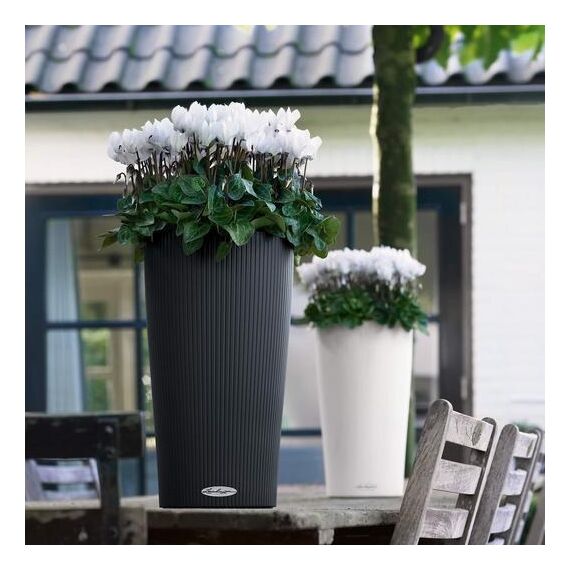 LECHUZA 13943 Blumenkübel Drinnen/Draußen Pflanzgefäß Freistehend Kunststoff Schwarz, Farbe: Schwarz, 2 image