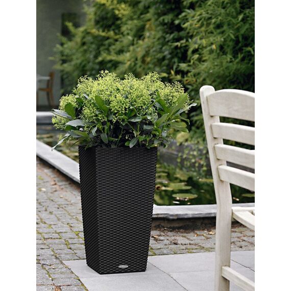 LECHUZA CUBICO Cottage 30 All-in-One Set Drinnen/Draußen Topfpflanzer Freistehend Polypropylen (PP) Grau, Farbe: Grau, 5 image