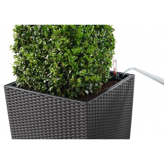 LECHUZA CUBE Cottage 30 All-in-One Set Drinnen/Draußen Topfpflanzer Freistehend Polypropylen (PP) Grau, Farbe: Grau, 7 image