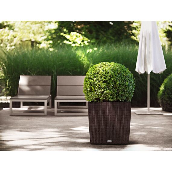 LECHUZA CUBE Cottage 50 All-in-One Set Drinnen/Draußen Topfpflanzer Freistehend Polypropylen (PP) Braun, Farbe: Braun, 3 image