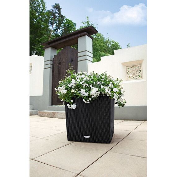 LECHUZA CUBE Cottage 50 All-in-One Set Drinnen/Draußen Topfpflanzer Freistehend Polypropylen (PP) Braun, Farbe: Braun, 4 image