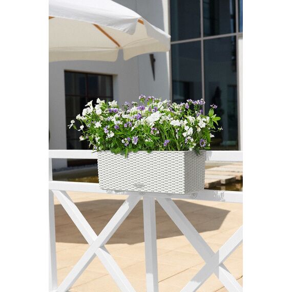 LECHUZA BALCONERA Cottage 50 Draußen Pflanzgefäß Wand-montiert Polypropylen (PP) Braun, 5 image