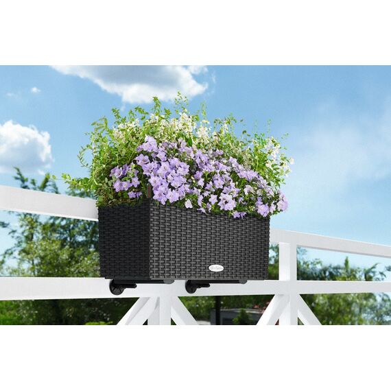 LECHUZA BALCONERA Cottage 50 Draußen Pflanzgefäß Wand-montiert Polypropylen (PP) Braun, 6 image