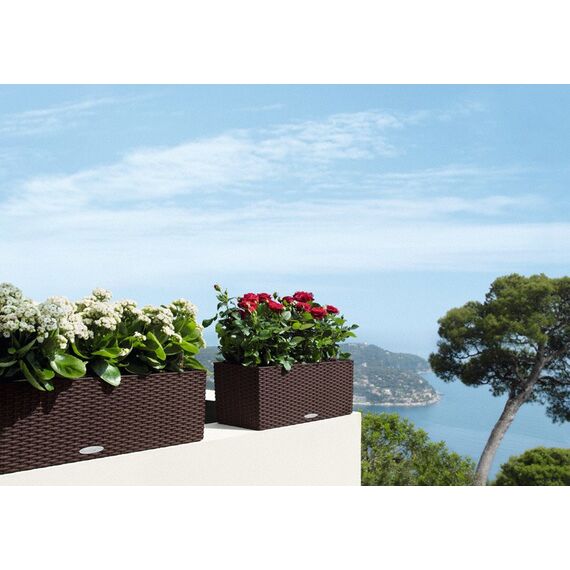 LECHUZA BALCONERA Cottage 50 Draußen Pflanzgefäß Wand-montiert Polypropylen (PP) Braun, 9 image