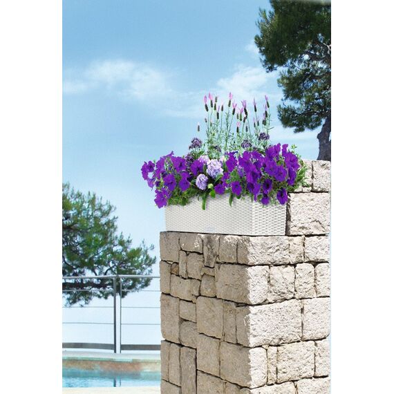 LECHUZA BALCONERA Cottage 80 All-in-One Set Draußen Pflanzgefäß Wand-montiert Polypropylen (PP) Weiß, 3 image