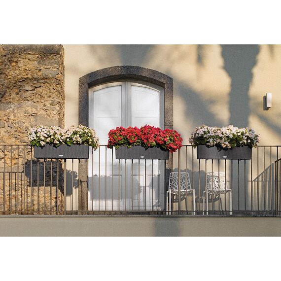 LECHUZA BALCONERA Cottage 80 Draußen Pflanzgefäß Wand-montiert Polypropylen (PP) Grau, Farbe: Grau, 5 image