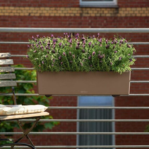 LECHUZA Balconera Color 80 Drinnen/Draußen Pflanzgefäß Hängend Polypropylen (PP) Weiß, Farbe: Weiß, 4 image