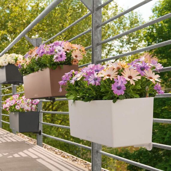 LECHUZA Balconera Color 80 Drinnen/Draußen Pflanzgefäß Hängend Polypropylen (PP) Weiß, Farbe: Weiß, 5 image