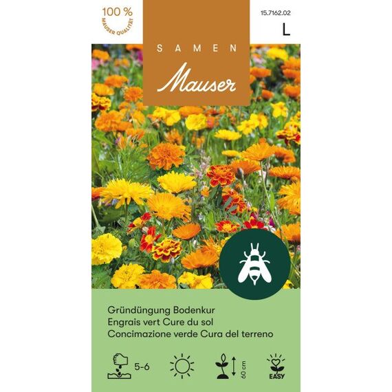 Samen Mauser 15716202 Blumensamen/-zwiebel Ringelblume, Marigold