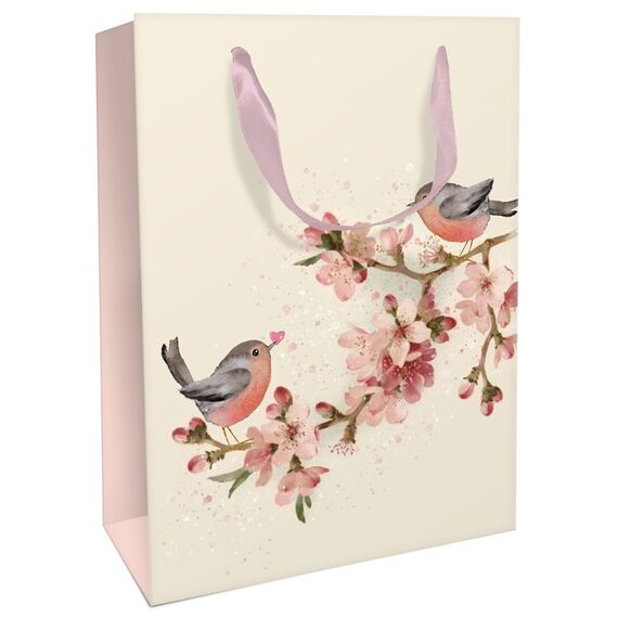 Braun + Company 1583-24006 Geschenkverpackung Geschenkverpackungstasche