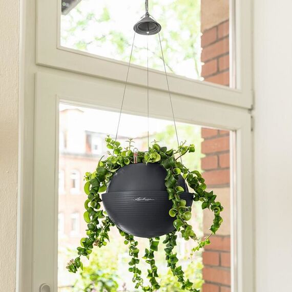LECHUZA BOLA Color 32 Braun Kunststoff 1 Stück(e)