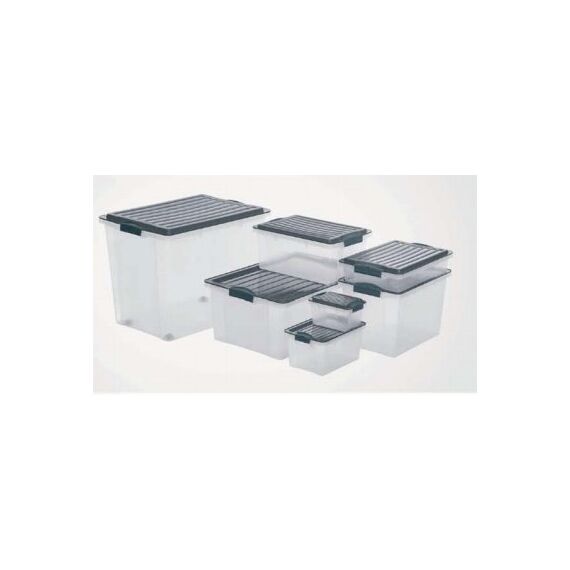 Rotho 1776008812 Aufbewahrungsbox Rechteckig Grau, Transparent