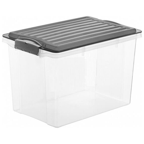 Rotho Compact Rechteckig Box 19 l Grau, Durchscheinend 1 Stück(e)