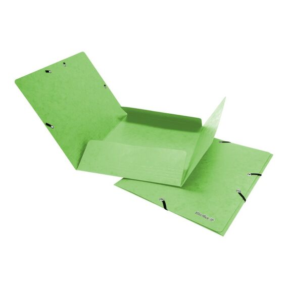 Biella 17840131U Sammelmappe Karton Grün A4, Farbe: Grün