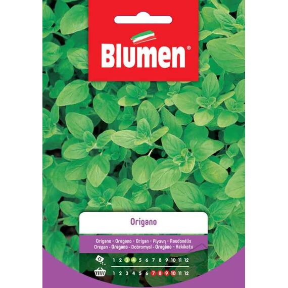 Blumen 19003004 Gemüsesamen Oregano