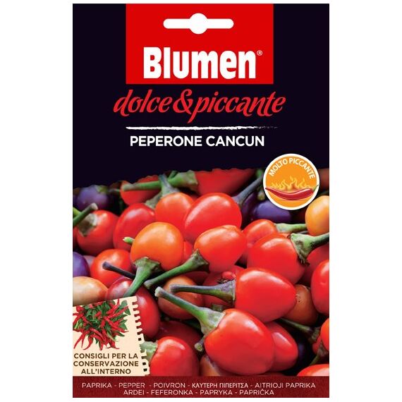 Blumen Peperone Cancun Pfeffer 1 Stück(e)