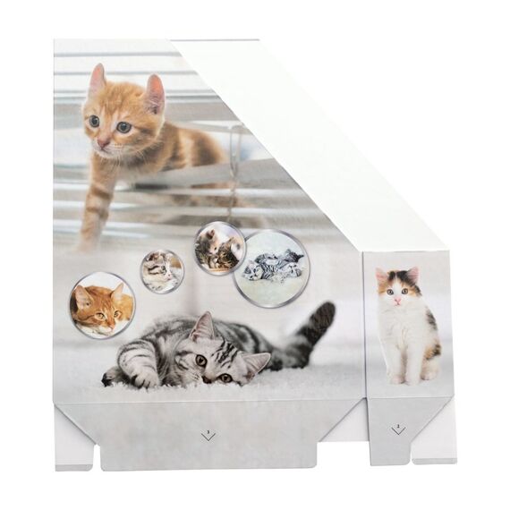 HERMA Stehsammler Katzen A4 Gelb Zeitschriftenständer, 3 image
