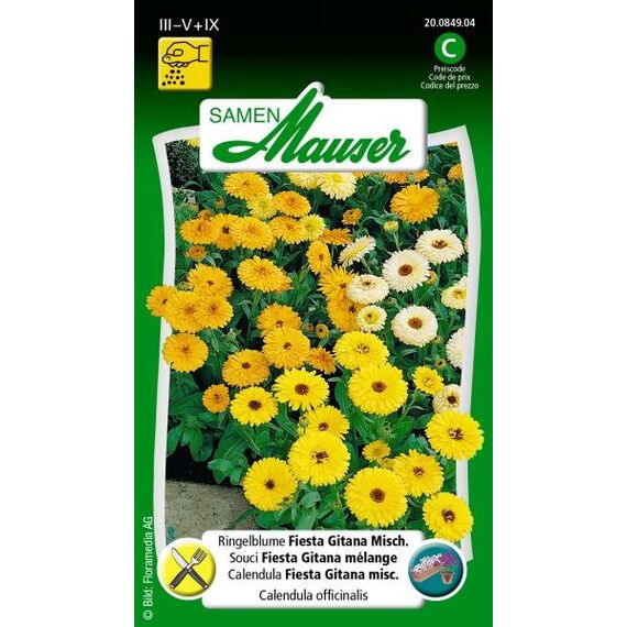 Samen Mauser 20084904 Blumensamen/-zwiebel Marigold