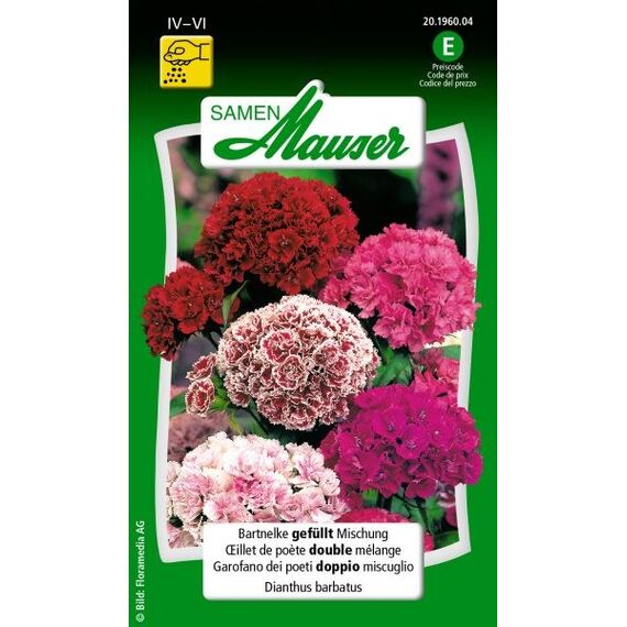 Samen Mauser 20196004 Blumensamen/-zwiebel Dianthus barbatus