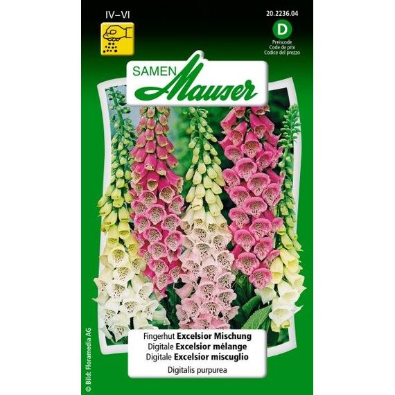 Samen Mauser 20223604 Blumensamen/-zwiebel Digitalis purpurea