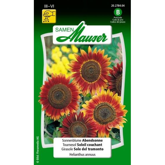 Samen Mauser 20278404 Blumensamen/-zwiebel Sonnenblume