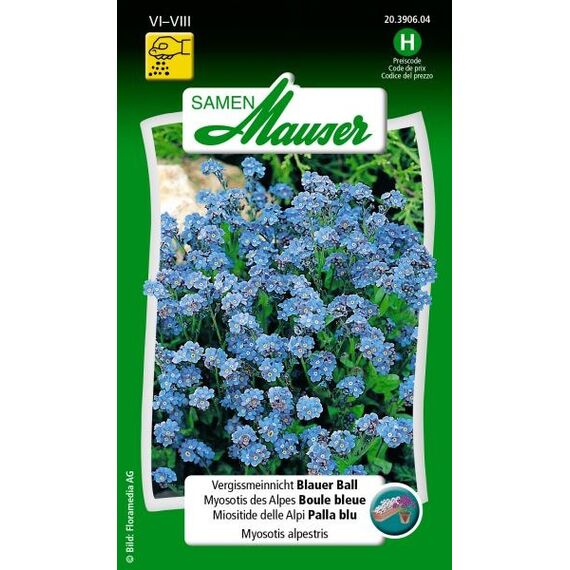 Samen Mauser 20390604 Blumensamen/-zwiebel Myosotis alpestris
