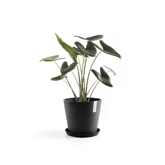 Ecopots Saucer Round Pflanzenwagen