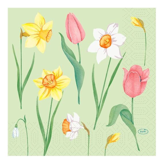 Duni 210190 Papierserviette Seidenpapier Mehrfarbig, Grün 50 Stück(e)