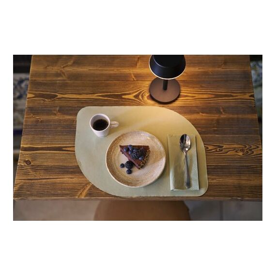 Duni Bio Dunicel Platzdeckchen andere Olive 100 Stück(e), 3 image