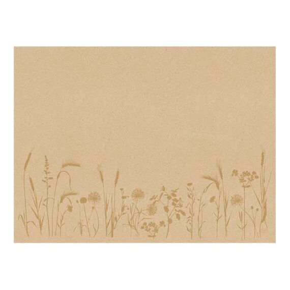 Duni Bio Dunicel Platzdeckchen Rechteck Beige 250 Stück(e)