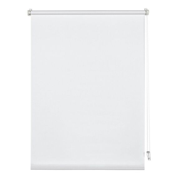 Gardinia Home Decor 23-1019 Jalousien/Rollos Manuell Fest Rollo Durchscheinend, Weiß, Farbe: Durchscheinend, Weiß